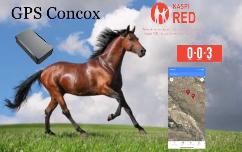 Безпроводной трекер, магинтный  трекер