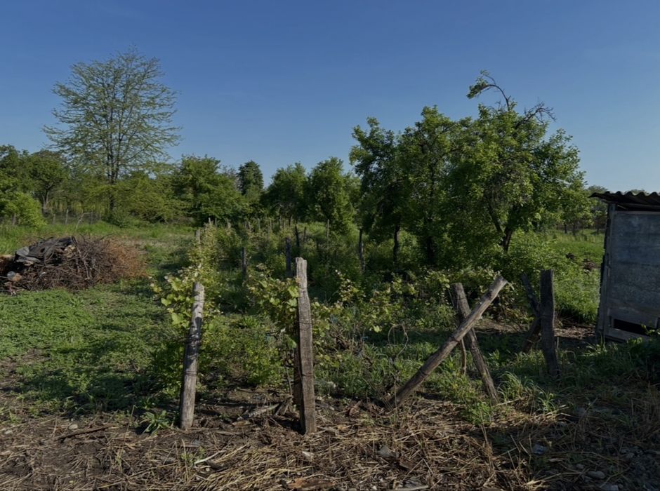 Teren intravilan cu fundatie si beci, Cocorasti Grind Prahova