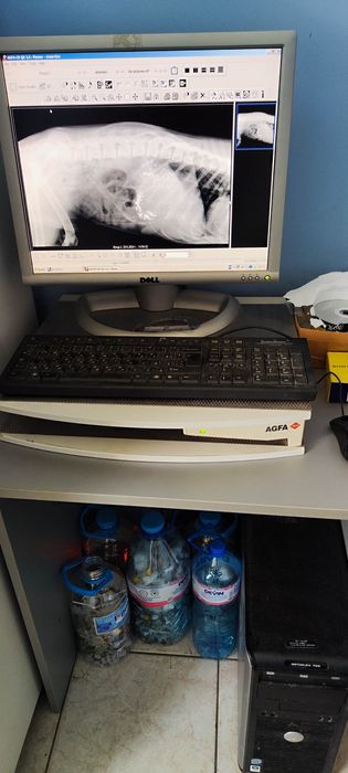 CR AGFA-SOLO + две касети