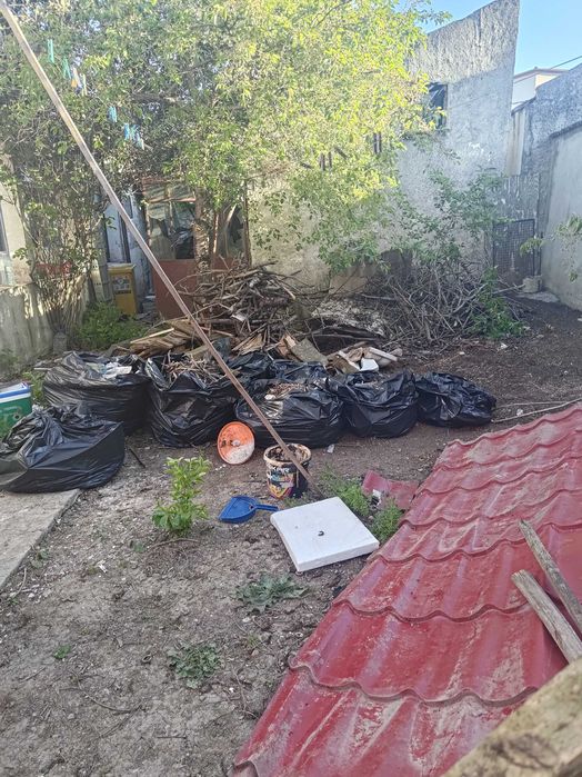 Lemne pentru foc
