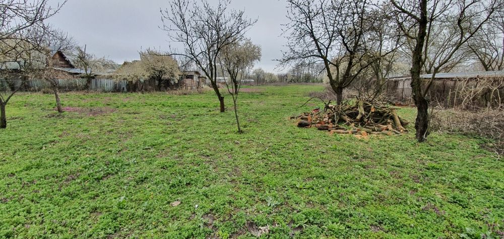 Curte de vanzare comuna Crevedia,sat Cocani,Dambovita