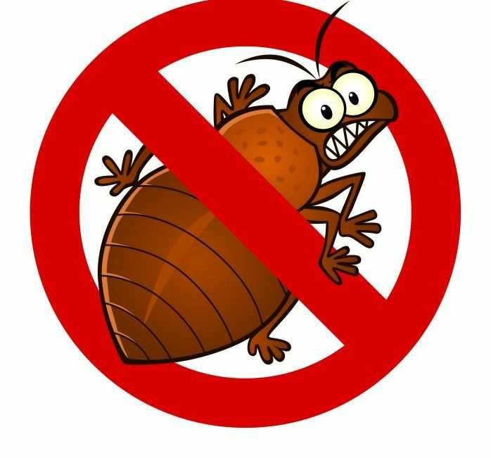 Dezinfeksiya | dizinfeksiya | дезинфекция | дизинфекция |klapa | SP-6