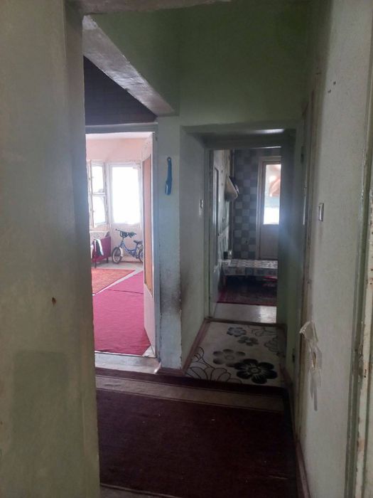 Алгоритм-31 Ахмад жужа