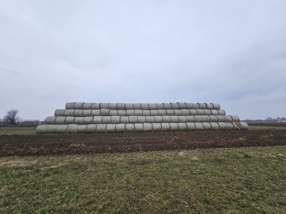 De vânzare baloti Rotunzi de paie