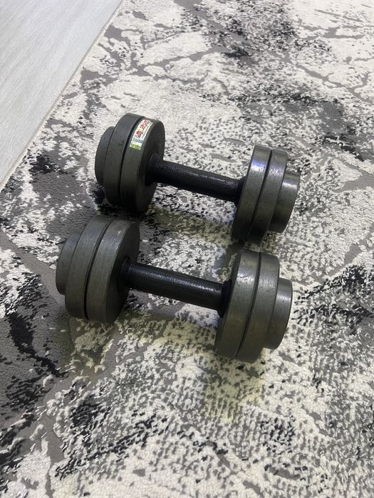 Gantel     16 kg bu
