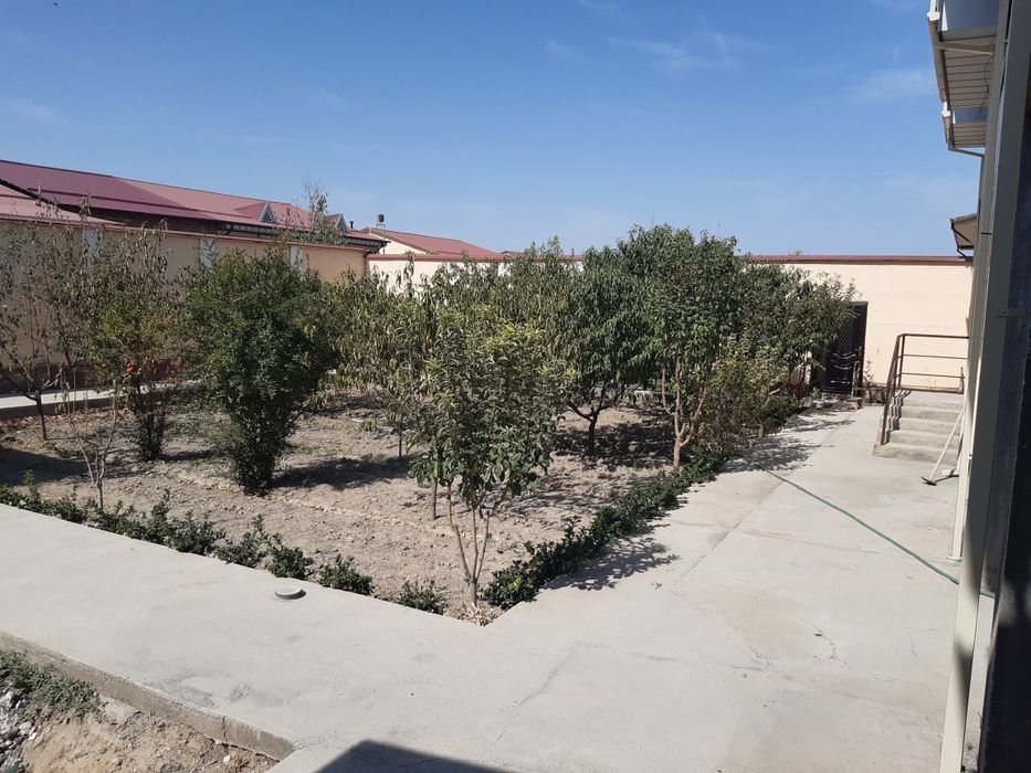 6 сутихли котеж Миндонобод зудлик билан сотилади