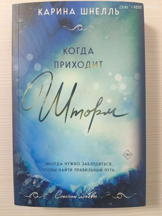 Книга "Когда приходит шторм"