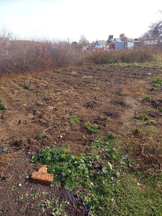 Дача спп  общество спп