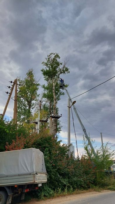 ИП "Спил распил деревьев".