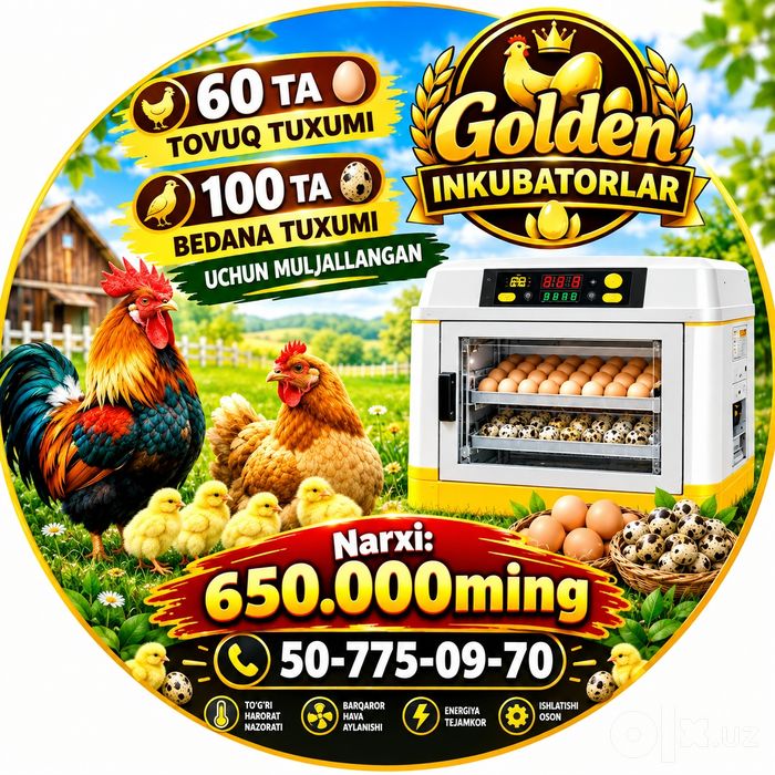 Zakazga inkubator yasab beramiz