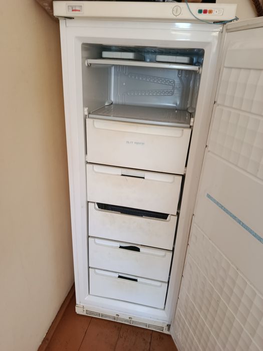 Фризер Зануси фризер