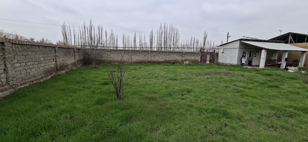 Продаю дом с участком