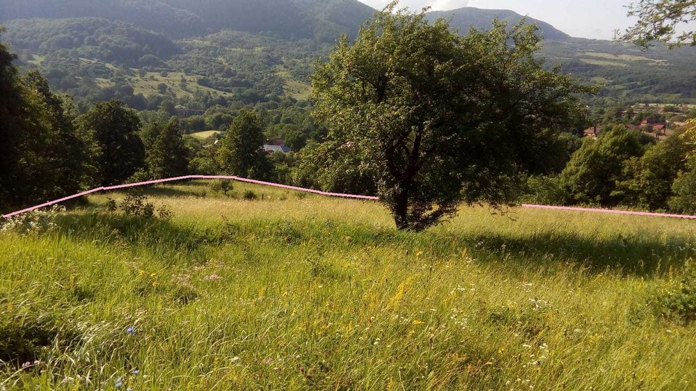 Vând teren extravilan in Bistra Mureșului