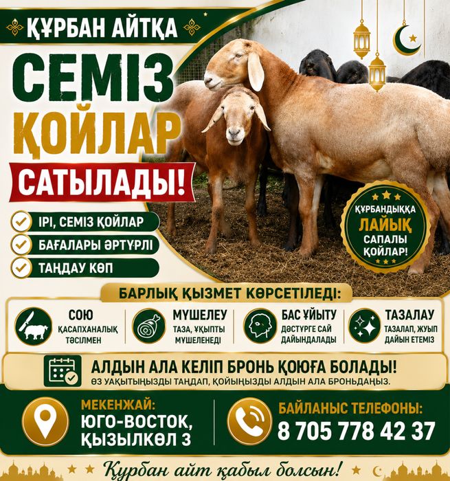 Қой Тоқты Құрбан Айт Юго Восток