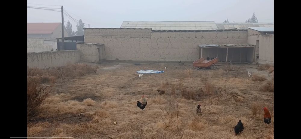 6 соток Ер сотилади