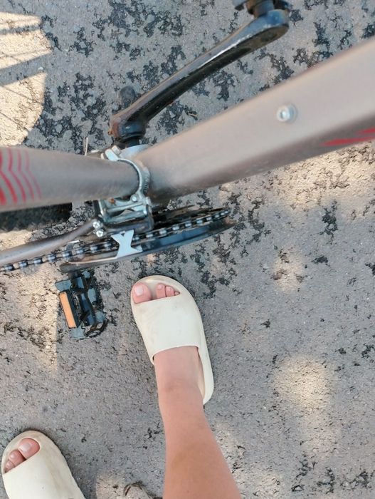 Bicicleta xfact camino