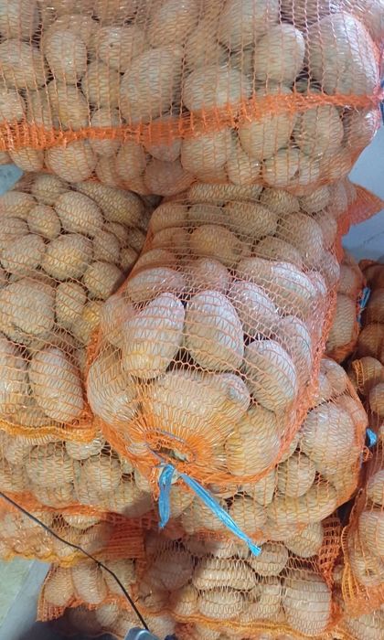 Vând cartofi de consum 3 lei/kg si de sămânță 2,5 lei/kg