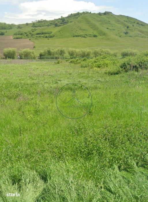 Teren extravilan de vanzare – Brateni acces la Lac