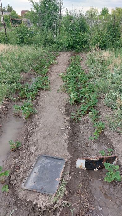 Продажа дачи на бугорках