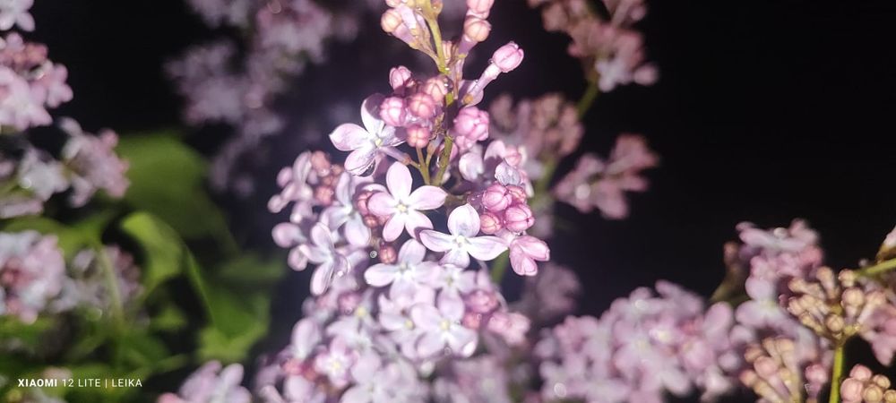 Xiaomi 12 liat читайте