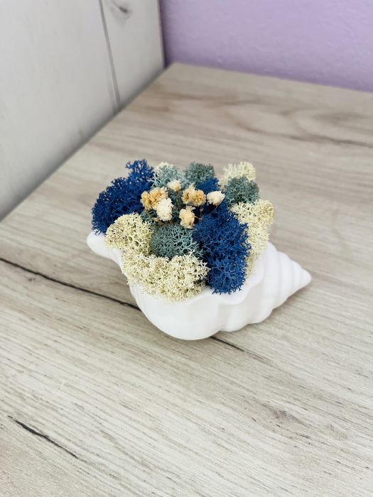 Кашпи със скандинавски мъх