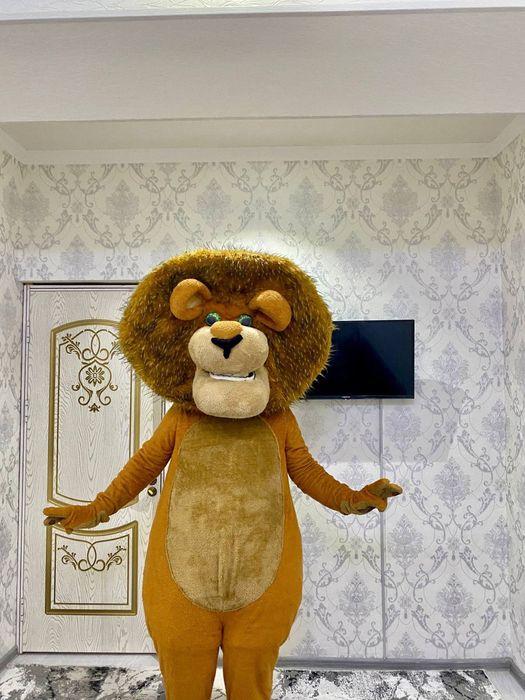 Panda studio ayiqcha