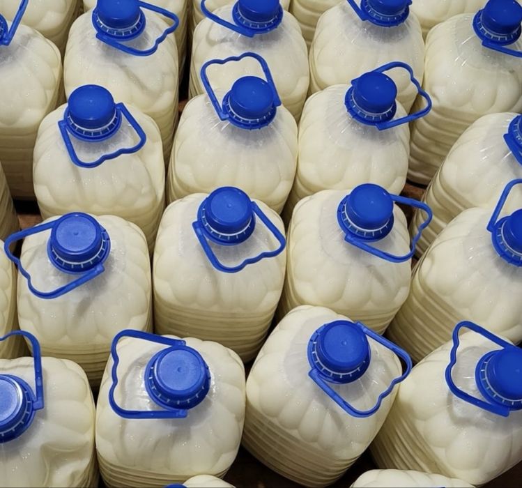 Кымыз оптом 1000