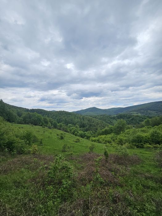 Teren intravilan in inima Muntilor Apuseni