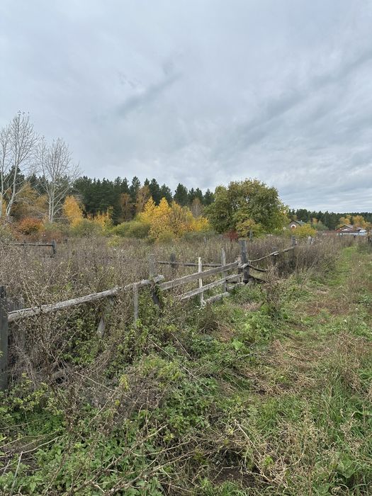 Продам участок в лесной зоне