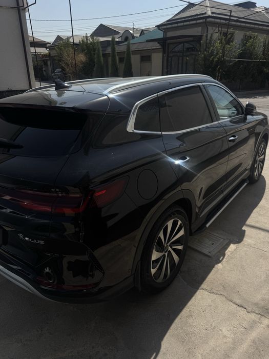 Byd chempion 605 qora 2023 tozza