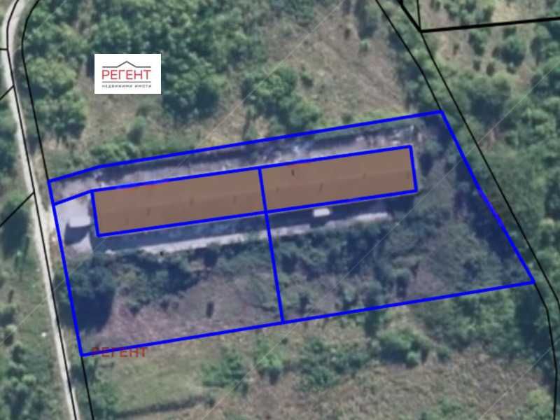 Продава се имот с 6 декара обща площ в гр.Дряново