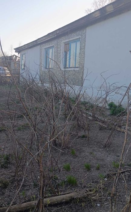 Продам дом с. Волчиха глубоковский район