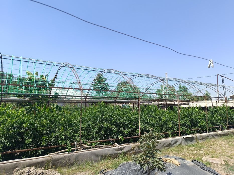 Uy sotiladi 12 sotik Yangi Ozbekiston bogiga 20 minutli yol