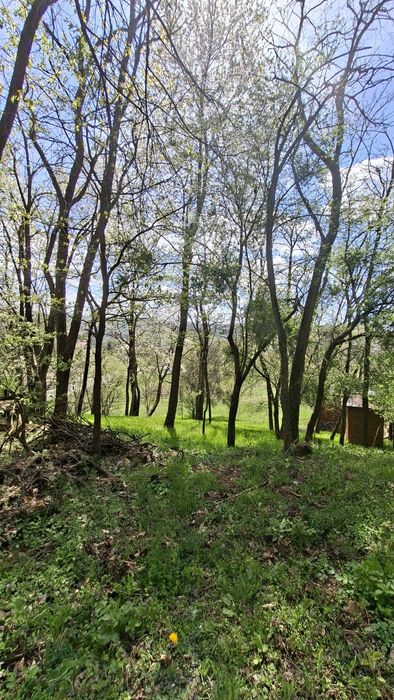 Teren Valea laşului - Strada Principală (DN73C) - PUZ Aprobat - Zonă Liniştită