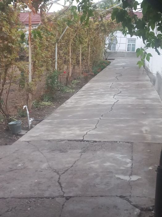 Ajoyib yer 2,2 sotik