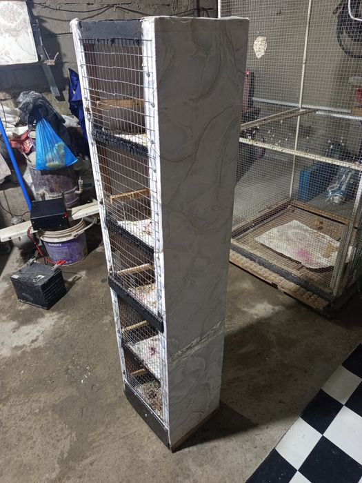 Кафас сайратма канарейкага сотилади 150 минг