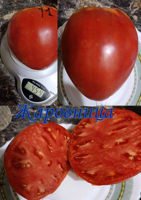 продам емена томатов и перцев