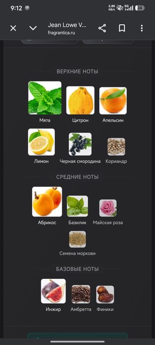 jean lowe vibe(LV Pacific chill)