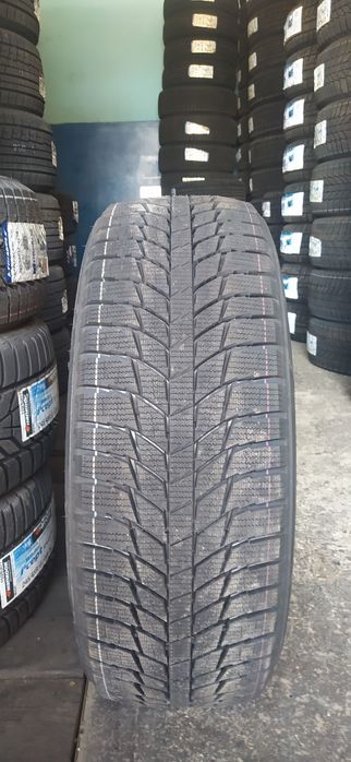 225/55R18 Triangle PL01