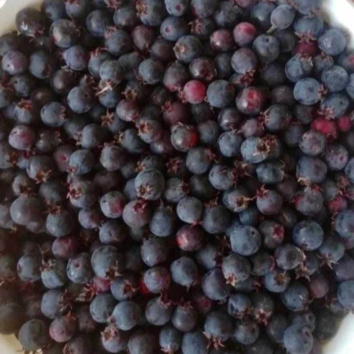 Ирга ягоды жидектер доставка бесплатно Тегін жеткізу смородина қарақат