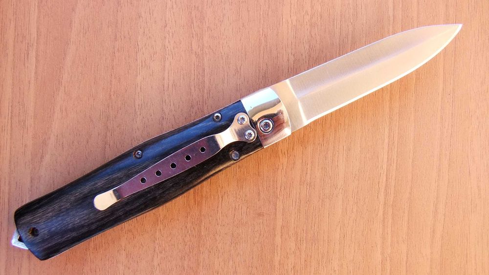 Сгъваем нож BUCK /2/