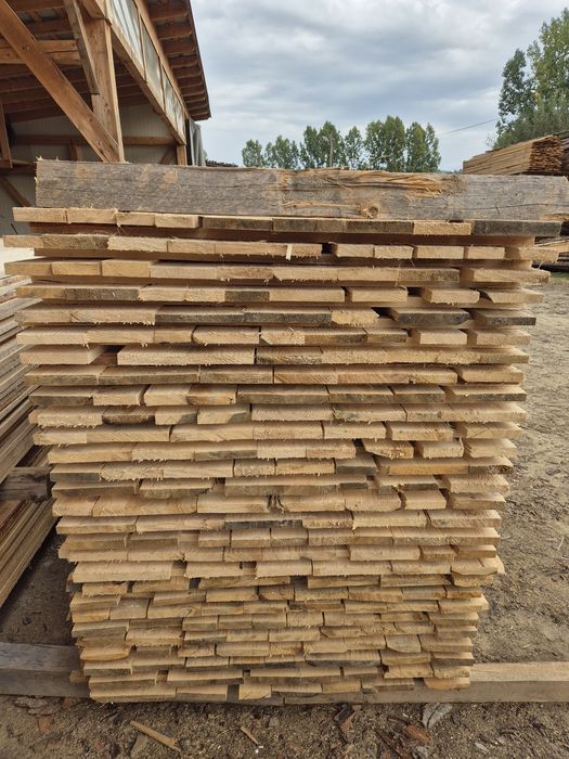 Cherestea brad, molid 600 lei