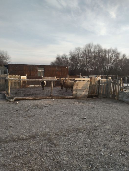 Жер уй сатылады срочно