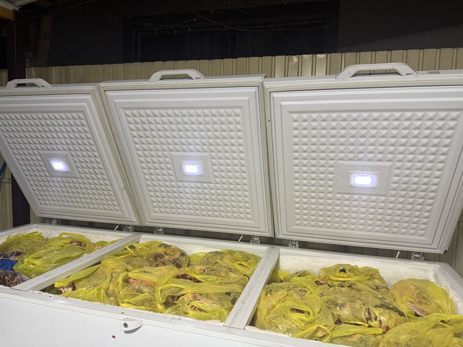 2 маразилника почти новыи