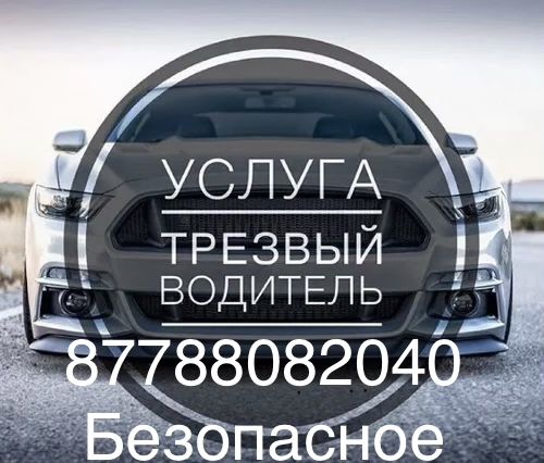 Трезвый водитель