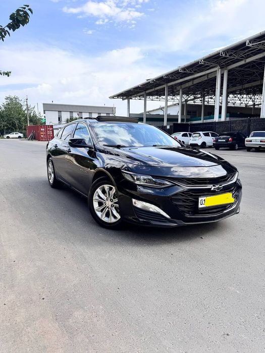 Malibu Rent car 800.min