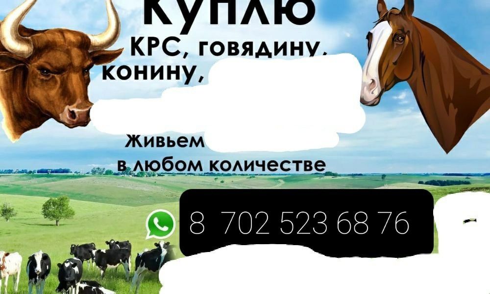 Лошади конина Крс