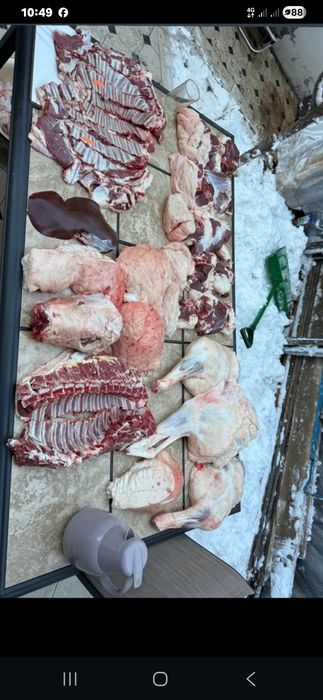 Qassob xizmati halol va sifatli