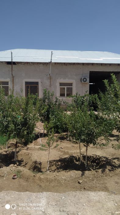 Продается  Дом участок в гЗарафшане