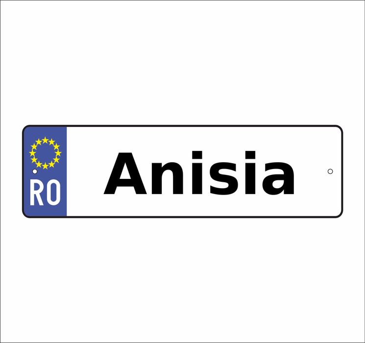 Placute auto personalizate cu nume CT